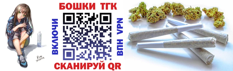 ГАШ Солнечногорск