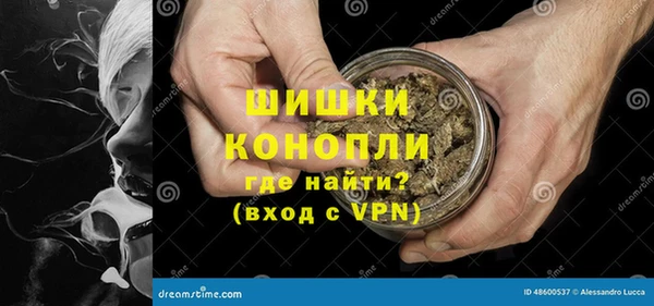 шишки Аркадак