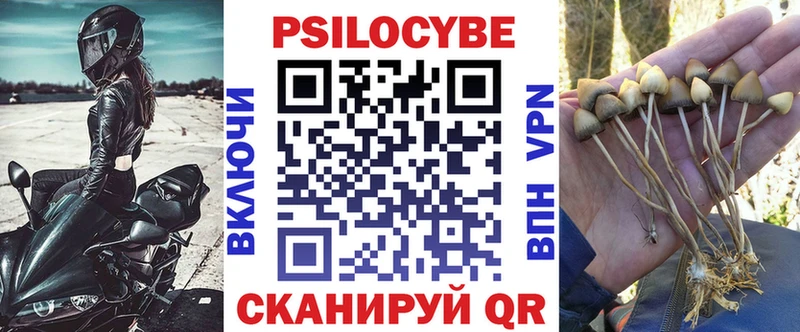 купить   Солнечногорск  Псилоцибиновые грибы мицелий 
